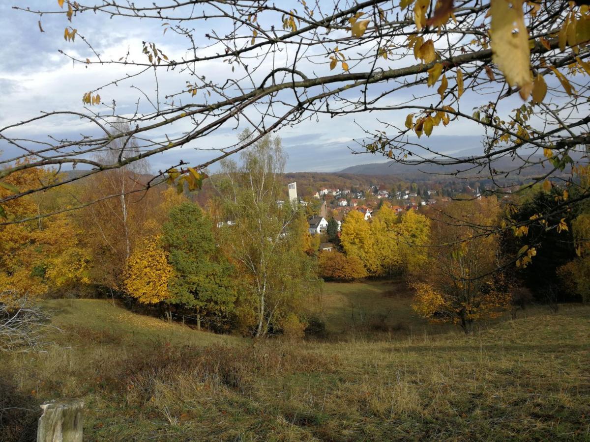 Ravensbergblick - Harzlich Willkommen In Bad Sachsa Apartman Kültér fotó